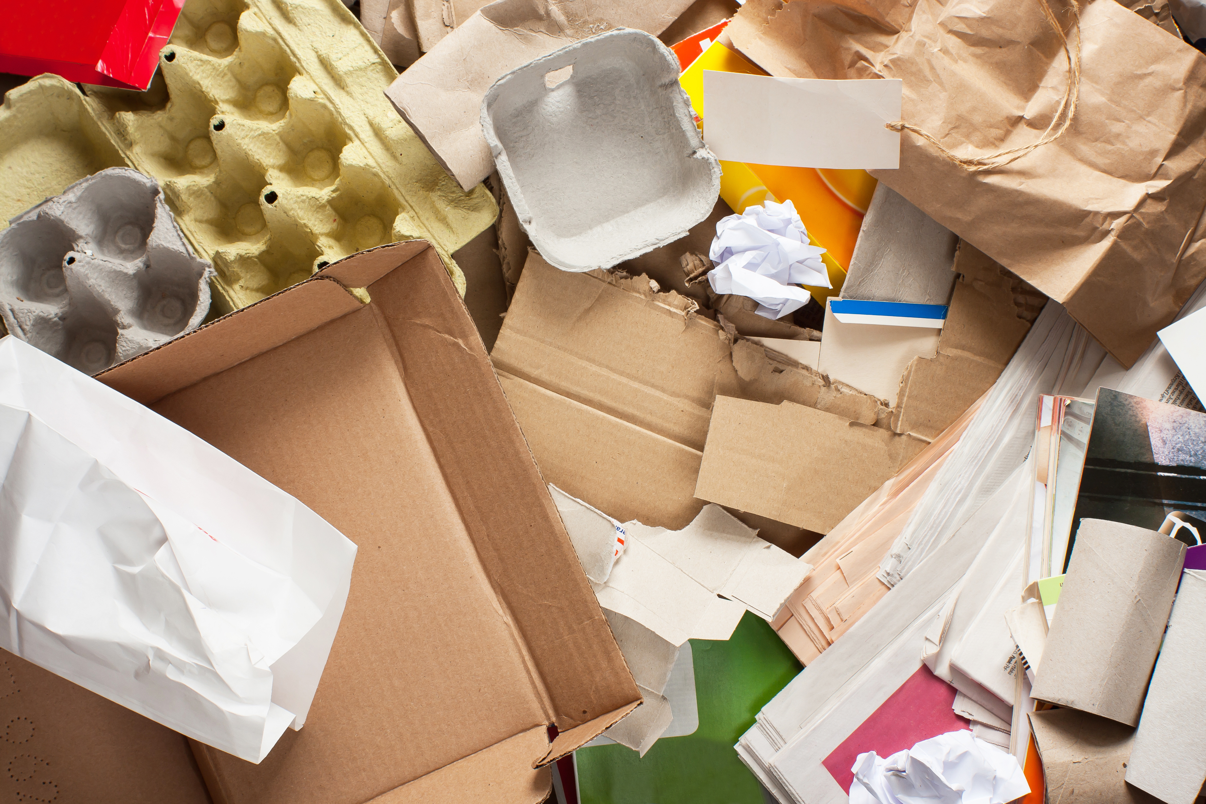 Segregated paper wastes ready to recycling